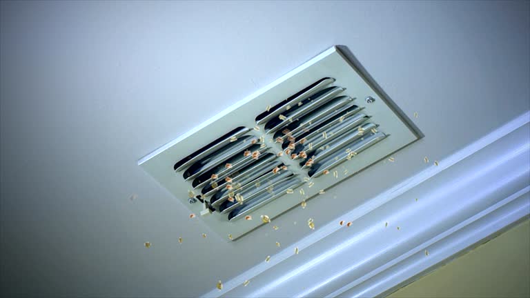 Reliable Pine Hills, CA Airduct Cleaning Solutions